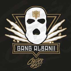 Gang Albanii - Lecimy Na Koncert (Vaan G & DJ Arix Bootleg)