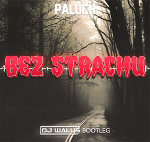 Paluch - Bez Strachu (DJ WALUŚ Bootleg 2021)