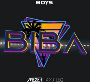 Boys - Biba (MEZER '4fun' BOOTLEG)
