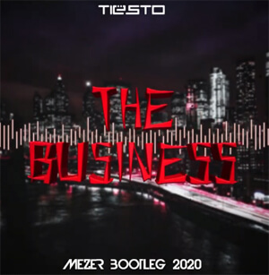 Tiësto - The Business (MEZER BOOTLEG)