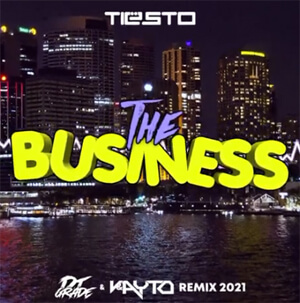 Tiesto - Business (DJ GRADE x VAYTO REMIX)