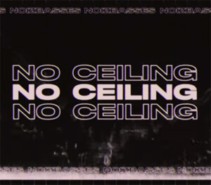NoizBasses - No Ceiling