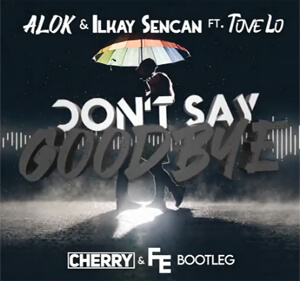 ALOK & Ilkay Sencan (feat. Tove Lo) - Don't Say Goodbye (Cherry & Fleyhm Bootleg)