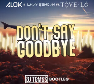 ALOK & Ilkay Sencan feat. Tove Lo - Don't Say Goodbye (DJ TomUś Bootleg 2021)