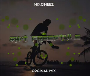MR.CHEEZ - SHIT FREESTYLE (ORIGINAL MIX)
