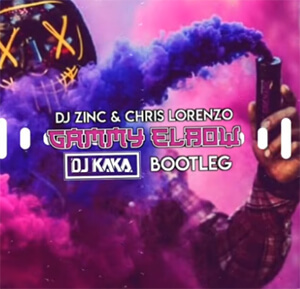 DJ Zinc x Chris Lorenzo - Gammy Elbow (Kaka Bootleg)