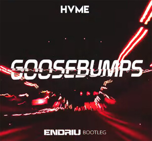 HVME - Goosebumps (ENDRIU BOOTLEG)