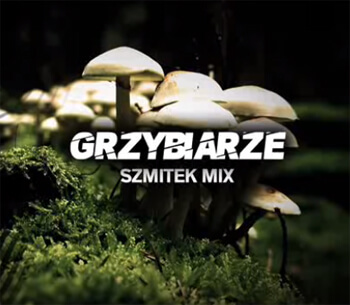 Szmitek mix GRZYBIARZE 2020