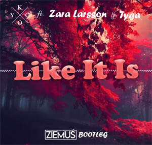 Kygo, Zara Larsson, Tyga - Like It Is (DJ Ziemuś Bootleg 2021)