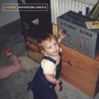 LJ Karwel - Niepotrzebne Skreślić 2014 (Płyta, Album)