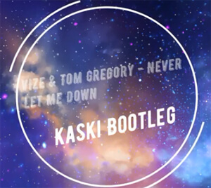 VIZE & Tom Gregory - Never Let Me Down (Kaski Bootleg)