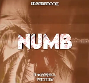 Elderbrook - Numb (Dropshakers VIP Edit)