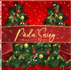 PABLO & Dj Przemooo - Pada Śnieg (Original Mix)