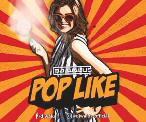 DJ WALUŚ - POP LIKE (Original Mix)