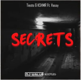 Tiesto & KSHMR Ft. Vassy - Secrets (DJ WALUŚ Bootleg 2020)