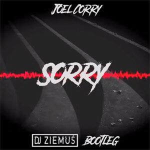 Joel Corry - Sorry (DJ Ziemuś Bootleg 2021)
