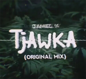 Daniel V - TJAWKA (Original Mix)