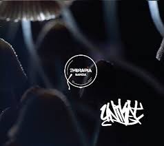 IwueN, Stychu - Raport Krajowy