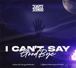 David Tango - I Can't Say GoodBye