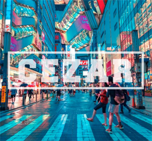 Teriyaki Boyz - Tokyo Drift (CEZAR Bootleg)