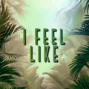 DBL & Robert S - I Feel Like
