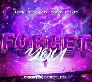 LUM!X, ALIDA WITH. GABRY PONTE - FORGET YOU (CIOOSTEK BOOTLEG)