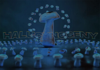 Majki x Kimik - Halucynogeny