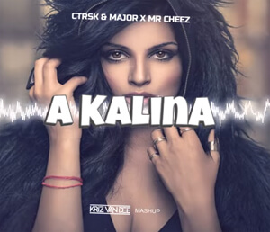 Ctrsk & MaJoR x Mr Cheez - A Kalina (KriZ Van Dee Mashup)
