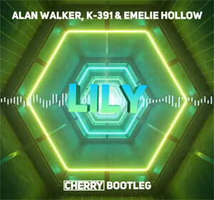 Alan Walker, K-391 & Emelie Hollow - Lily (CHERRY Bootleg)