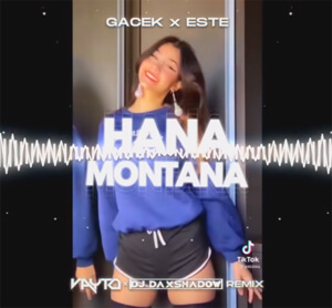 GACEK x ESTE - Hana Montana (VAYTO x DJ DAXSHADOW REMIX)
