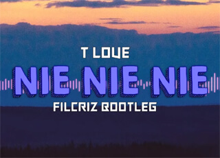 T Love - Nie, nie, nie (FILCRIZ BOOTLEG)