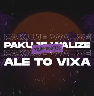 PAKUJE WALIZE ale to VIXA (Majki Bootleg)