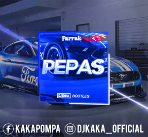 Farruko - Pepas (DJ Kaka Bootleg)