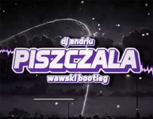 DJ Endriu - Piszczała (Wawski Bootleg)