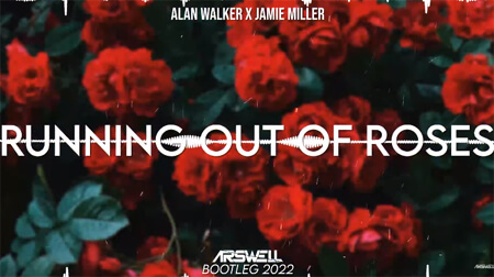 Alan Walker x Jamie Miller - Running Out Of Roses (ARSWELL BOOTLEG 2022)