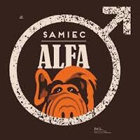 Toster - Samiec Alfa