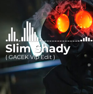 Distinkt x Kubas & Pablo - Slim Shady (GACEK Vip Edit)