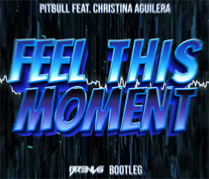 Pitbull feat. Christina Aguilera - Feel This Moment (BR3NVIS Bootleg)
