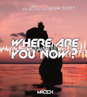 Lost Frequencies, Calum Scott - Where Are You Now (M4CSON BOOTLEG 2022)