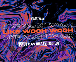 RNBSTYLEZ - Like Wooh Wooh (PaulVanCrazy Bootleg)