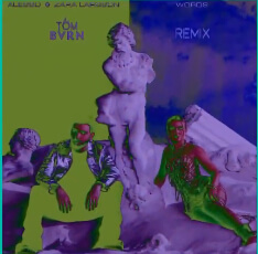 Alesso feat. Zara Larsson - Words (TOM BVRN Remix)