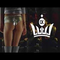 LWWL Feat. Fu, Liroy - Złote klatki (Prod. Lex Caesar)