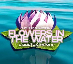 Nathan Evans - Flowers in the water (CIOOSTEK REMIX)