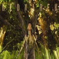 Bednarek feat. Staff - Euforia