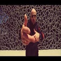 MilionBeats feat. Paluch, Freeman (ex-IAM) - Le gout du sang