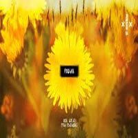 Neile feat. Kartky - Powidok (prod. Redzibeats)