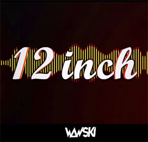 Niels De Vries & Rocco Vs Bass T - 12 INCH (Wawski Bootleg)