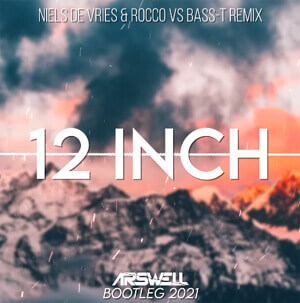 NIELS DE VRIES & ROCCO vs BASS-T - 12 INCH (ARSWELL BOOTLEG 2021)