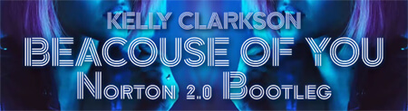 Kelly Clarkson - Because Of You (Norton 2.0 Bootleg)