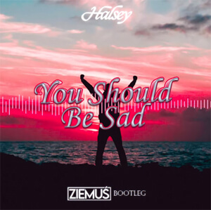 Halsey - You should be sad (ZIEMUŚ BOOTLEG 2021)